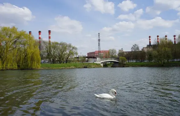 Цяпло затрымалася ў Беларусі
