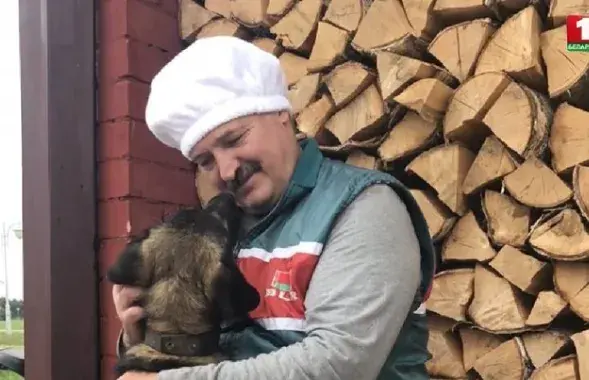 Скриншот видео