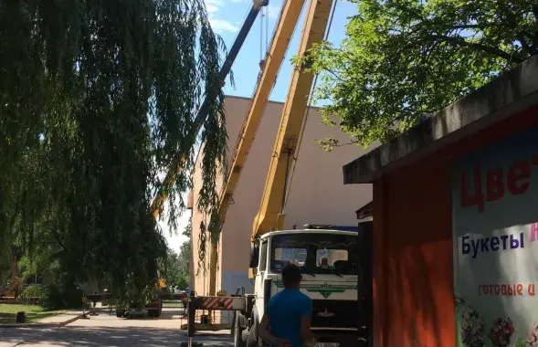 Фота