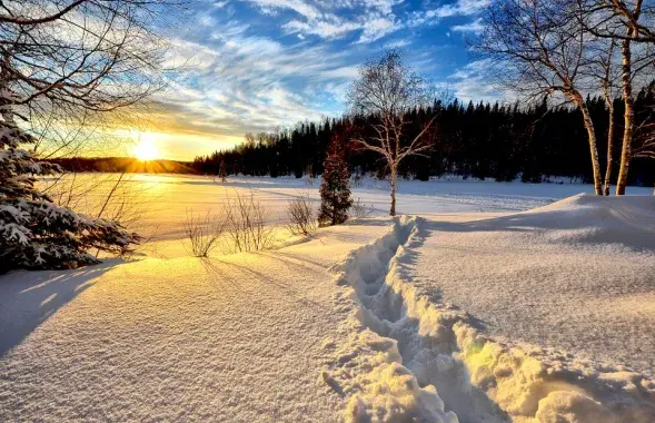 Снимок из архива pixabay.com​