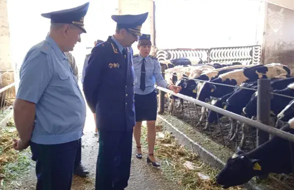 Deputy Prosecutor General Stuk visits a cowshed / Press service of the Prosecutor General's Office