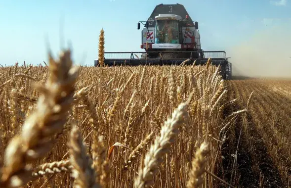 Grain harvest / Valery Matytsyn / TASS