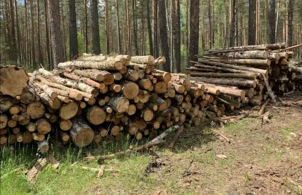 Беларусь экспартуе мэблю ў ЕС