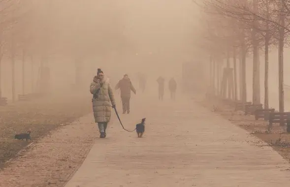 Туман, иллюстративное фото
