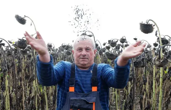 "Практычная магія" і прыгожыя лічбы