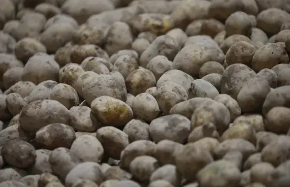 Картошка
