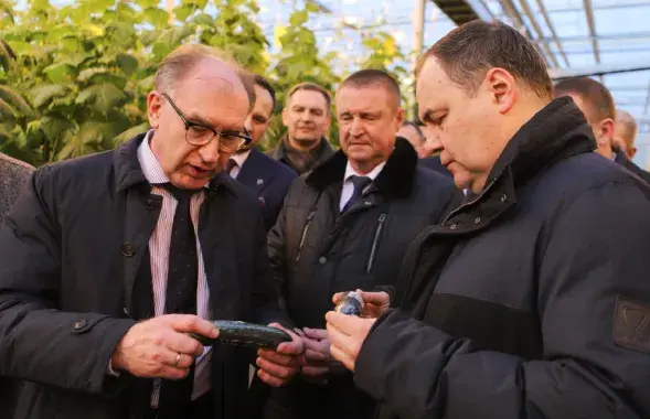 Прэм'ер Раман Галоўчанка і агурок
