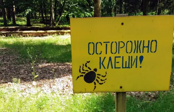 Сёлета першыя кляшчы з'явіліся вельмі рана 
