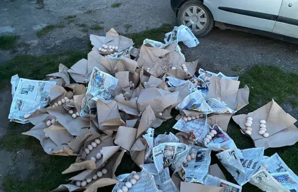 Краденые яйца
