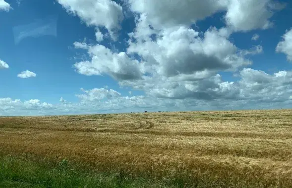 У чэрвені ў Клецкім раёне
