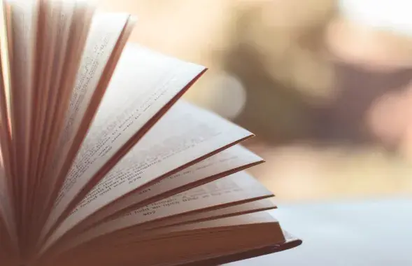Книга, иллюстративное фото
