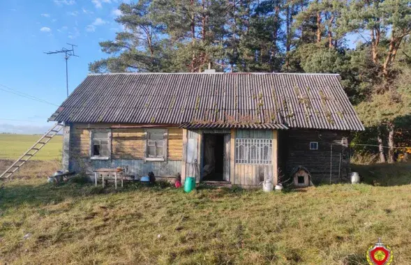 Загінулыя хацелі патруціць грызуноў у доме
