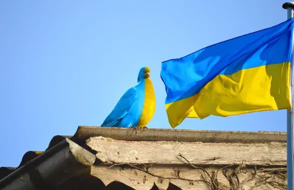 Украина, иллюстративное фото
