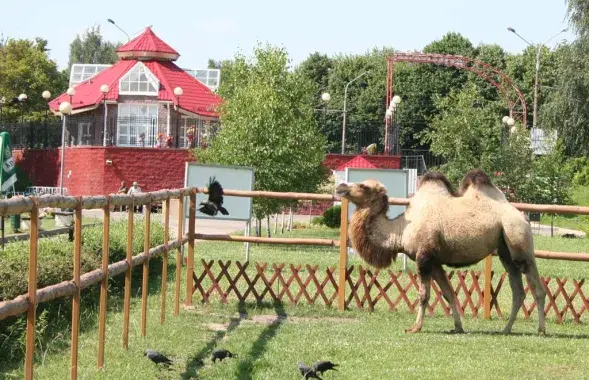 Жыхар мінскага заапарка
