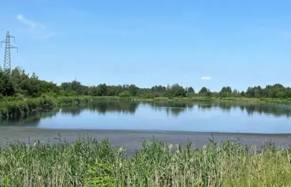 Сажалка каля вёскі Сіняло
