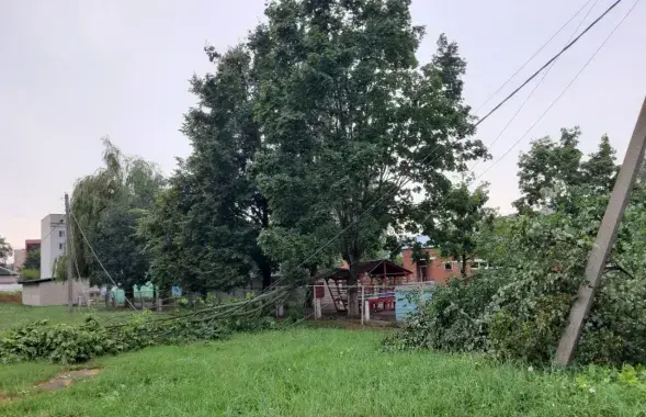 Ці можна дабіцца кампенсацыі ад уладаў?
