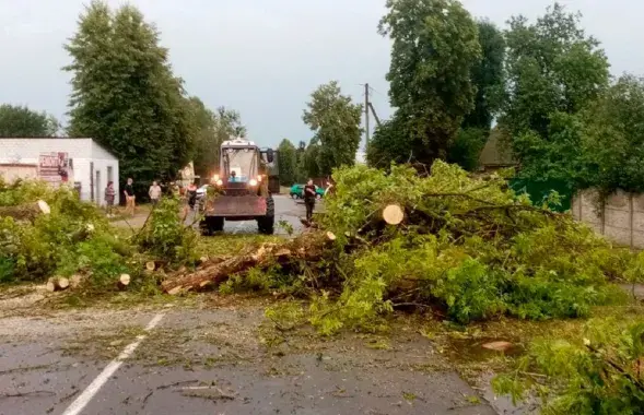 Стыхія ламае дрэвы ў Мазыры

