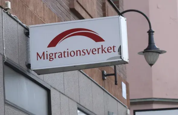 Migration Agency, sample photo
