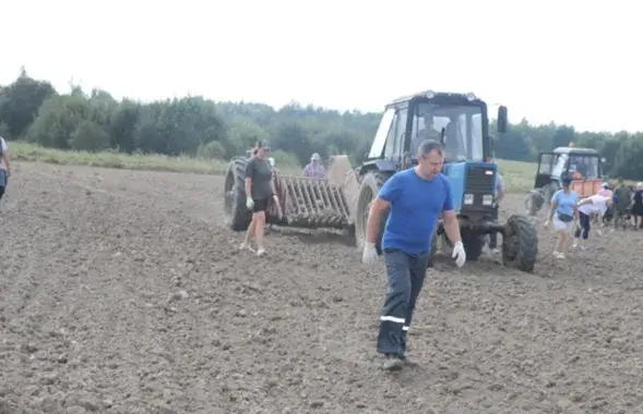 Барацьба з камянямі на полі на Ашмяншчыне
