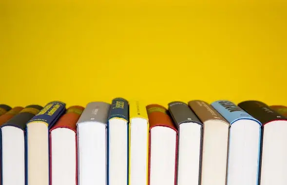 Книги, иллюстративное фото
