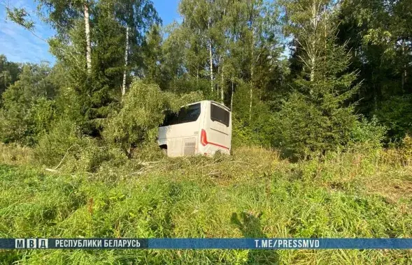Аўтобус
