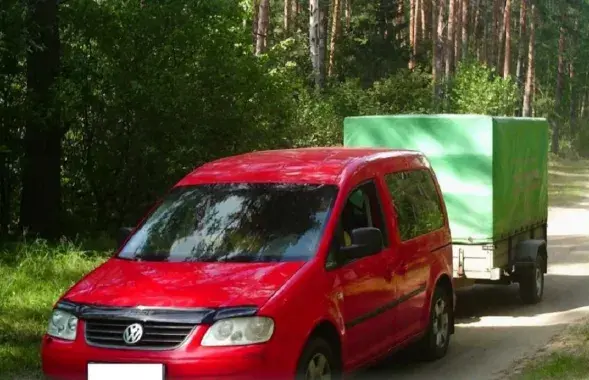 Парушальнікі ў лесе
