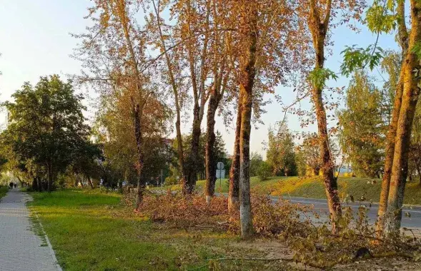 Восень у Беларусі
