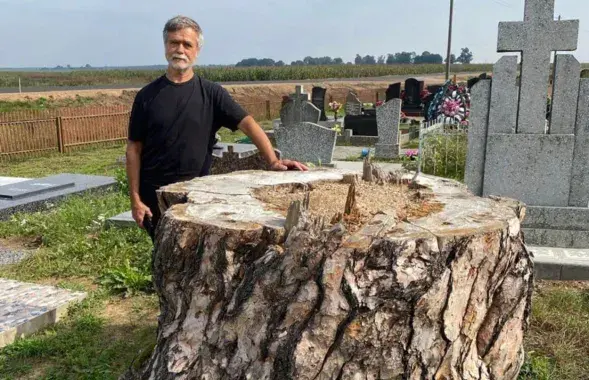Сергей Шокало возле пня 300-летней сосны
