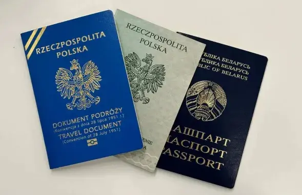 Руководителем группы назначен Томаш Цитринович, возглавляющий ведомство по делам иностранцев
