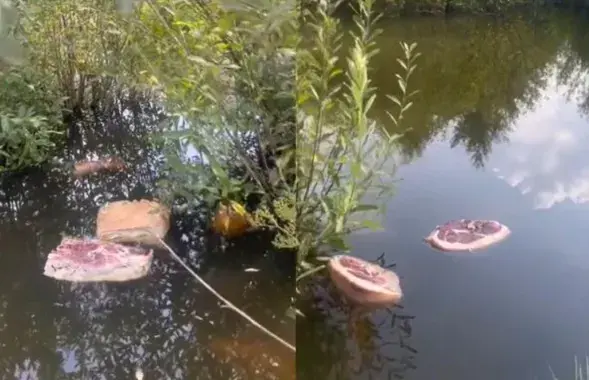 Мяса ў вадаёме ў Смаргонскім раёне
