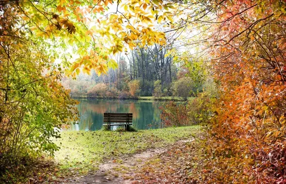 Восень, ілюстрацыйнае фота

