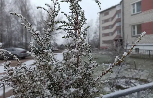 В январе в Беларуси
