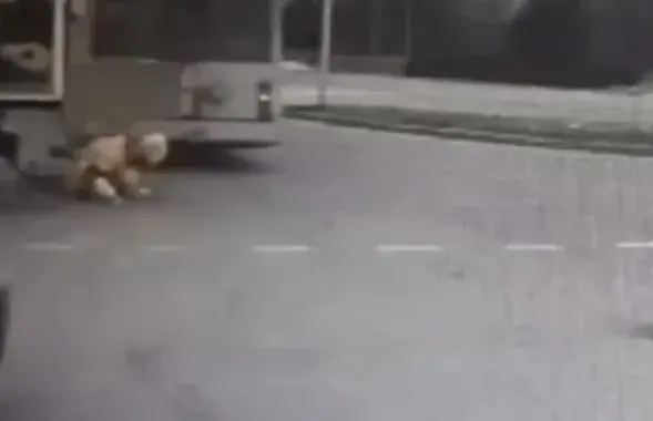 Момент происшествия попал на видео
