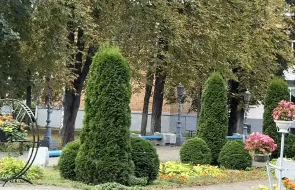 Як столінскі каледж стаў зоркай ціктока

&nbsp;
