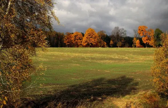 Вельмі цёплы пачатак лістапада
