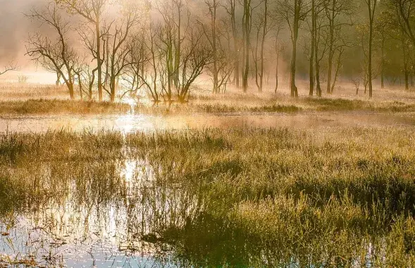 Гэта змякчыць клімат рэгіёна
