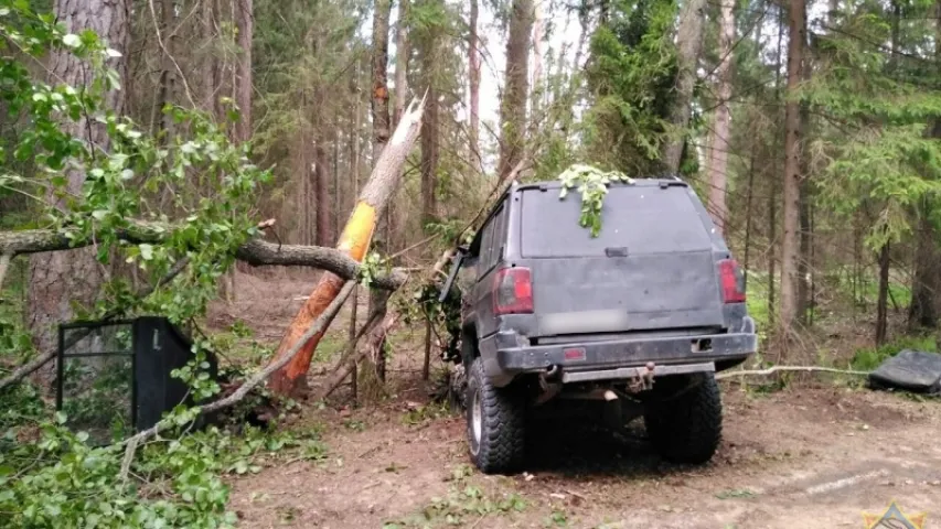 У Белавежскай пушчы кіроўца “Таёты” ўрэзаўся ў дрэва