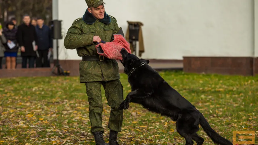 Ігар Шуневіч: Вадамёты ў нас на базе МАЗ, але набылі і два замежныя